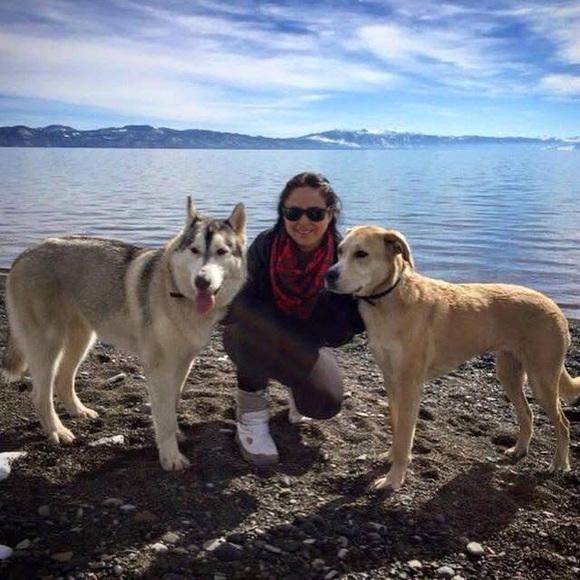 FOLLOW•LIKE•SHARE🩵🩵🩵🩵🩵JUST HIT 290K FOLLOWERS🔥🔥SHARE 5 FOR 5💞💞THANKS ALL!! - Picture 2 of 3